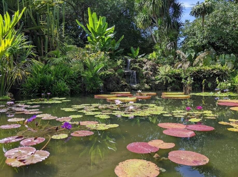 Вілла Insta Worthy Oasis Гомстед Екстер'єр фото