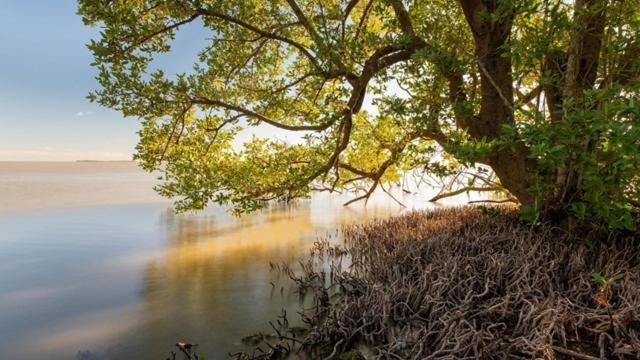 Вілла Insta Worthy Oasis Гомстед Екстер'єр фото
